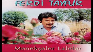 SANA BENZİYOR-FERDİ TAYFUR-1984 Resimi