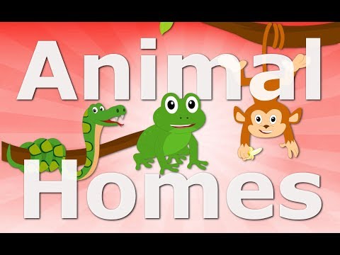 Learn About Different Animal Names And Homes | Animal Names And Homes For Kids | Bubble Kidz
