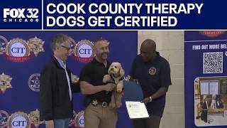 Cook County therapy dogs get certified
