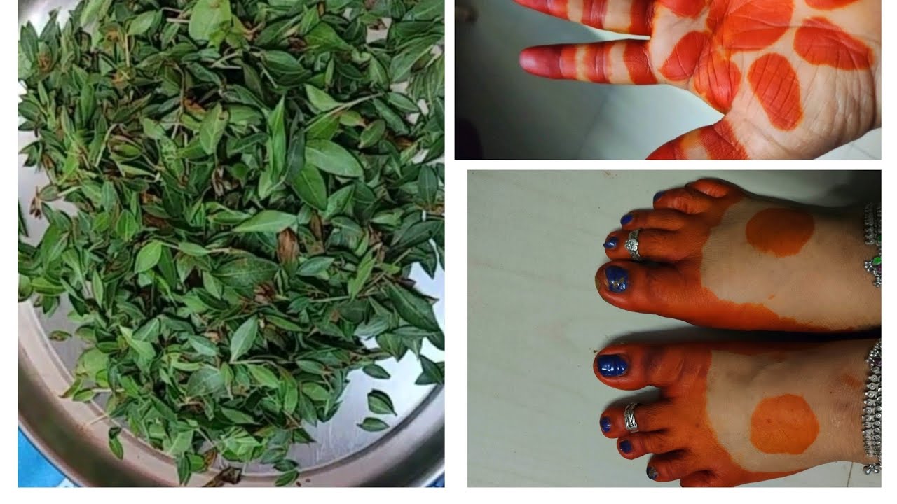 గోరింటాకు చాలా బాగా పండుతుంది ఇలా చేయండి 👌🏻