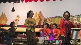 Download Lagu Dalang Ni Elisha || Pak KISWAN Wargo Laras Nggandrung Sinden SULIS EVA || Sinden AYU Cemburu  MP3