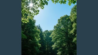 Sepi Hutan Membawa Gema