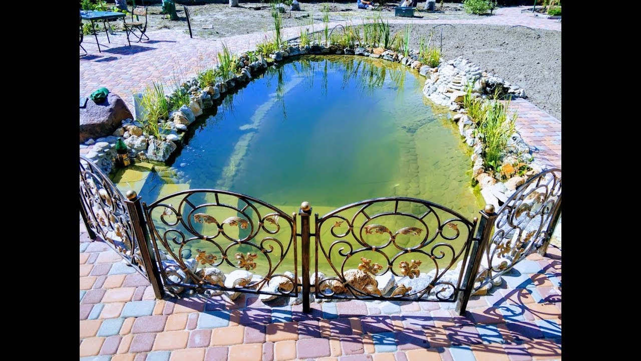 Эко пруд для купания