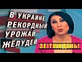 А Зеленский молодец, объединил Украину. Его терпеть могут не только лишь все.