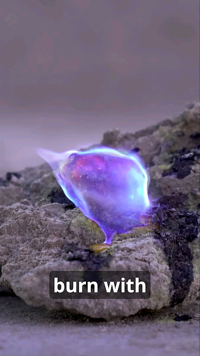Sodom & Gomorrah Sulfur Balls Discovered! Discoveries by the Dead Sea - Full Video in Description