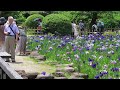 Tsuruma Koen鶴舞公園