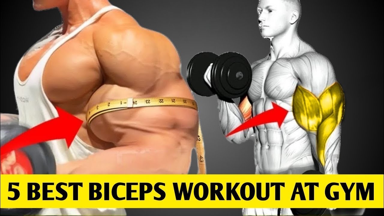 6 BEST EXERCISES TO TARGET YOUR BICEPS IN THE CLUB BY RKF