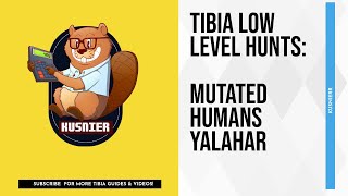 Mutated Humans Yalahar | 135 k/h raw | 30+ Knight | Tibia Hunting Guide