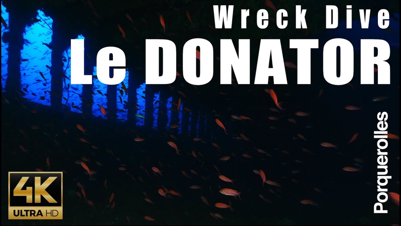 Plongée sur le DONATOR 2 - Porquerolles (wreck dive / Epave Var) - Intérieur / Extérieur