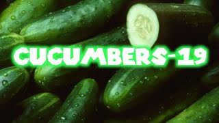 SM64 Bloopers: Cucumbers-19 (Part 1)
A new miniseries with only 2 parts SM64 Bloopers: Cucumbers-19 (Part 1)
