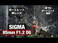 新しい Sigma 85mm F1.2 ART レンズを使って、滝でポートレート撮影しまーす!このレンズは最高すぎます!秋田県の雨の中で、めっちゃかっこいい滝で撮影しまーす!