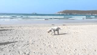 Crantock beach 4
