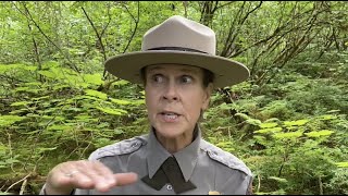 John Muir's "Stickeen" as told by Ranger Ingrid.