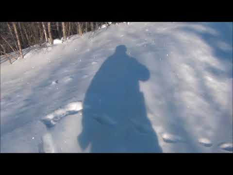 Канадские отшельники. Часть 360. Зименняя пора, очей очарованье