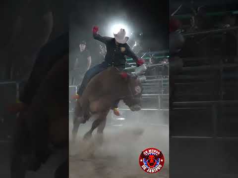 CASI LE PISAN LA CABEZA A HORMIGA DE JALISCO.!!