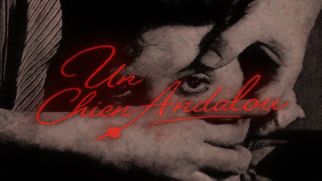 You didn't get the "Un Chien Andalou"