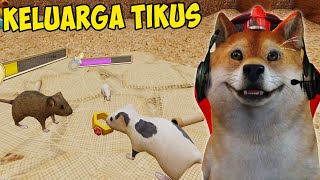 MEMBANGUN KELUARGA TIKUS!!! - Mouse Simulator