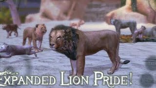 How to : Breed in ultimate lion simulator 2 . Problem solved . screenshot 5