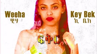 Weeha ft Key Bek Fikir Lyrics Video