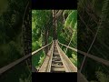 Revenge by CrispyTaytotot Planet Coaster 2