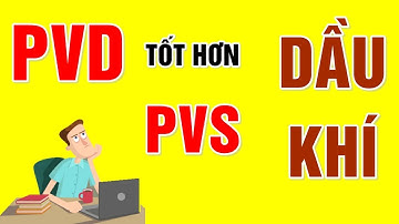 F186 - Cổ Phiếu PVD - Cổ Phiếu PVS | Cổ Phiếu Dầu Khí