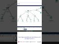 എന്താണ് APIPA ip address