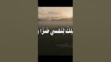 قران كريم تلاوه خاشعه #أطمئن #اسمعنا #لايك