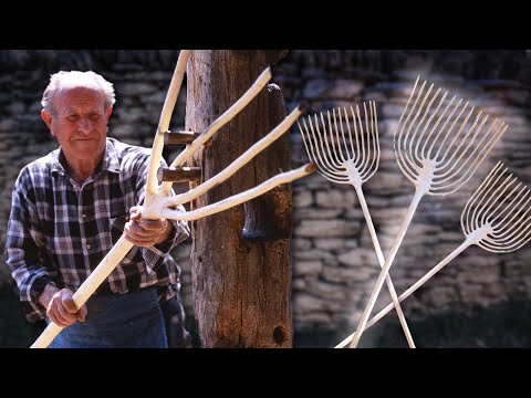 Video: Hackberry Tree Care - Kako uzgajati Hackberry stabla