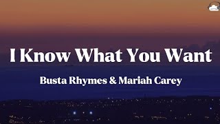 Busta Rhymes, Mariah Carey • I Know What You Want (Lyrics)