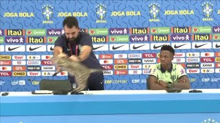 Brazil staff member removes cat after it interrupts Vinicius Jr
