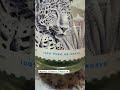 Alma Del Jaguar Blanco Tequila Review #tequila
