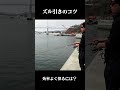 意外と知らないズル引きのコツとは!? #釣り #初心者 #ボトム