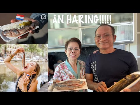 Ông bà ngoại thử đồ ăn đặc sản Hà Lan | Sara Luu & DKL FAMILY