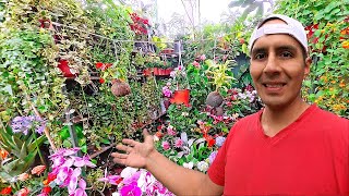 MERCADO DE FLORES ACHO PIEDRA LIZA Plantas Suculentas Cactus en Lima PERU Plants Tour Wildflowers