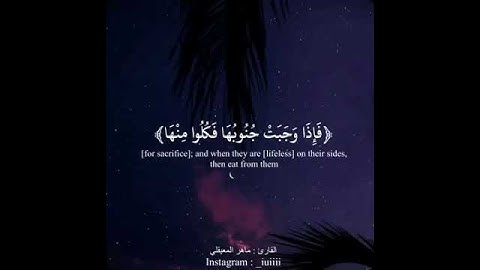 تلاوات قرآنـية جميلة 🎤♥ ٠تهدّئ قلبك بعيداً عن ضجيج الحياة .أنشر ولك أجر السامعين 💛🌱 #طمانينه