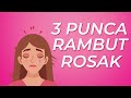 Rambut Rosak Pasca Rebonding: Sembuhkah Masih Mungkin? Rambut Rosak Pasca Rebonding: Sembuhkah Masih Mungkin?