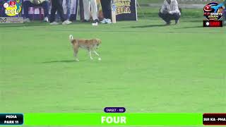 Dog Fielding In Accl ? Live Recorded On Camera Funny Moments In All Celebrity Cricket League 2026