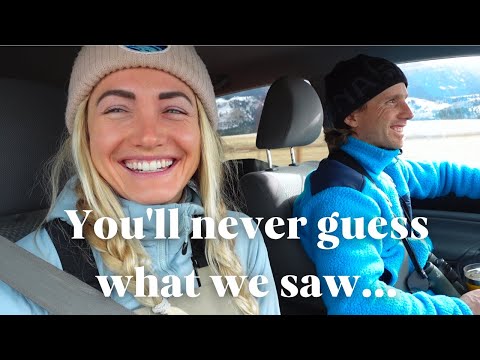 Winter Road Trip To Yellowstone!  // Ep. 4