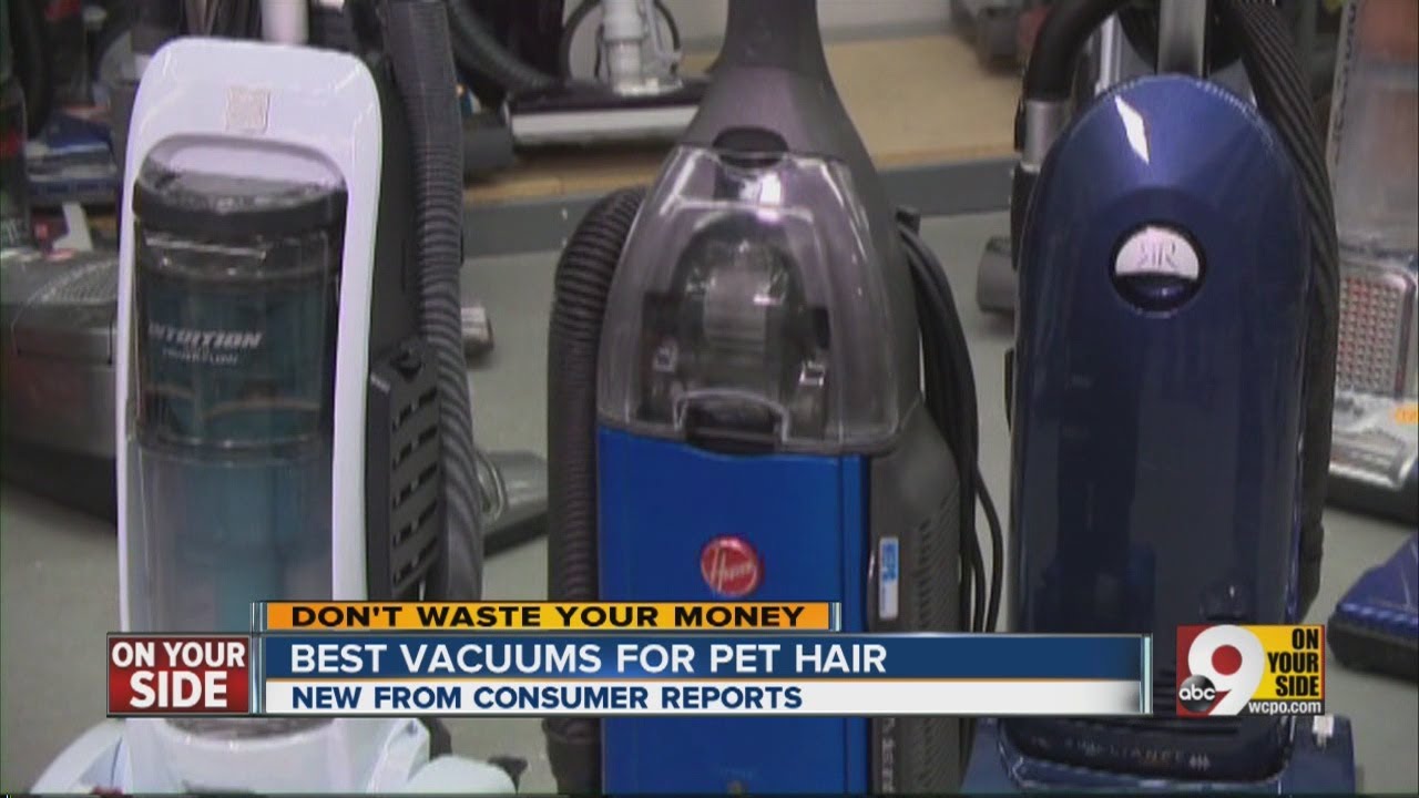 Best Vacuum Cleaners For Pet Hair YouTube