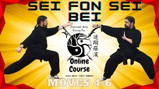 Learn Your First Kung Fu Form! Part 2 of 3!