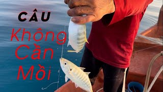 Câu Cá-Cách Ngư Dân Câu Cá Không Cần Mồi Và Có Mồi-Vương Giang TV             #cá  #câu_cá  #câu