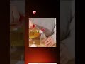 Oil Spray Bottle