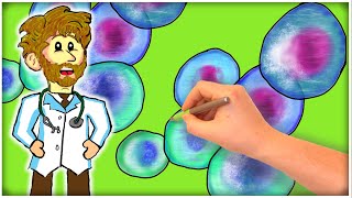 Celebrity Stem Cells: How FASTING Enhances STEM CELL REGENERATION! Net Worth