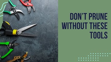 Ultimate Pruning Tools Guide: What You NEED