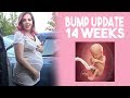 Baby Bump Update!  14 weeks  | Pregnancy Update