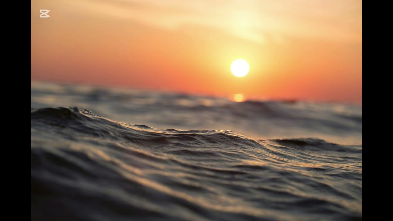 To the Ocean - by @mischker