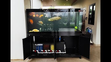 Ake กาญจน์ - งานสลับที่ตู้ปลา 72" แทน 60" (ตู้มีปลา) พร้อมทำระบบ O4FS/ เติมอุปกรณ์/ ลงปลา Set 3
