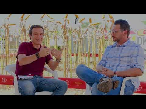 Integração lavoura-pecuária: rotação de cultura é o segredo para a melhoria do manejo