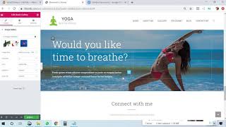lesson 13 -   edit your website and enter your data
