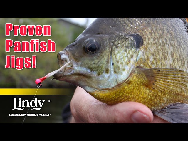Proven Hair Jigs for Spring and Fall Panfish - Lindy Fishing